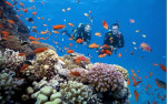Tien-ich-KDT-An-Thoi-Phu-Quoc-3