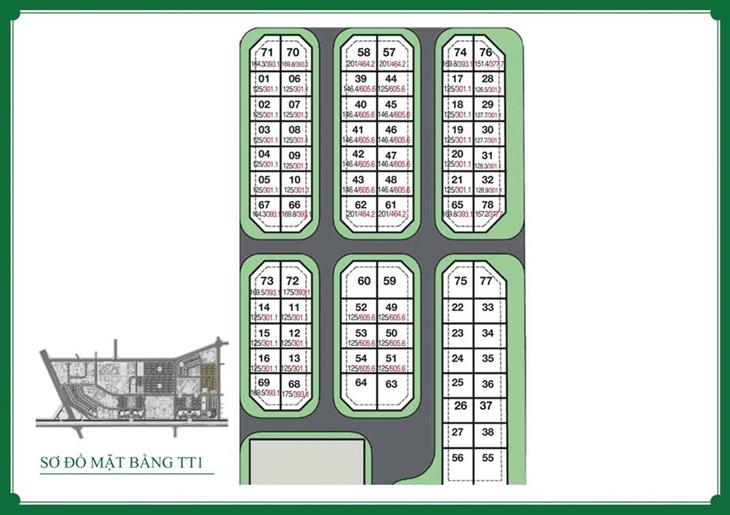Mặt bằng tổng thể phân khu TT1