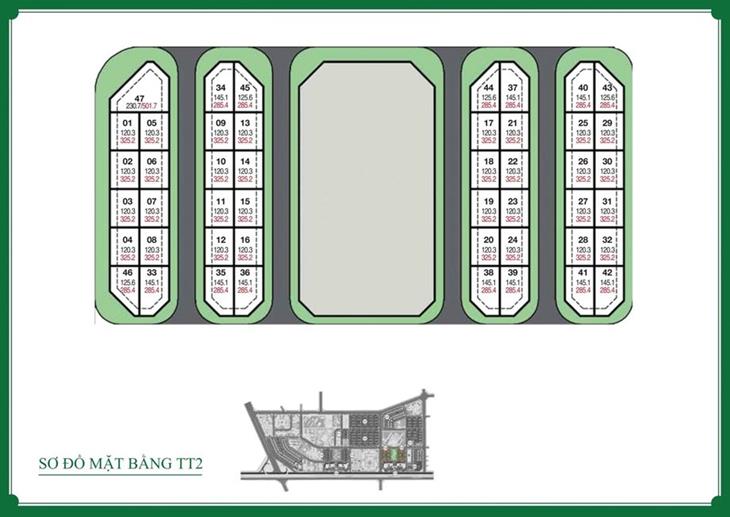 Mặt bằng tổng thể phân khu TT2
