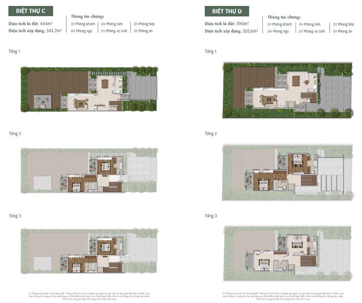 Mặt bằng thiết kế Biệt thự loại C - D