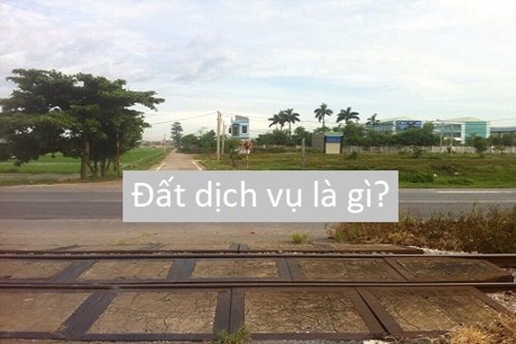 dat-dich-vu-la-gi-2