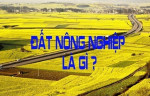 Đất nông nghiệp là gì ? Điều kiện chuyển đổi đất nông nghiệp sang thổ cư