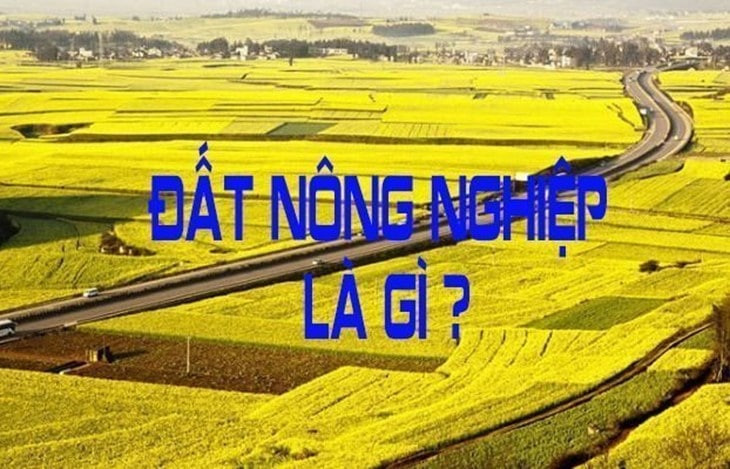 dat-nong-nghiep-la-gi
