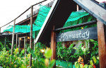 Homestays là gì ? Đặc điểm của mô hình du lịch homestay