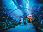 tien-ich-condotel-hoi-an-golden-sea-duong-nguyen-phan-vinh-3