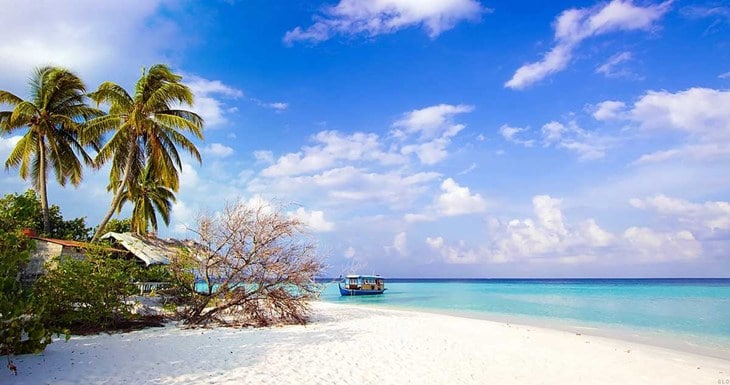 Bai truong Phu Quoc