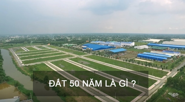 Dat 50 nam la gi