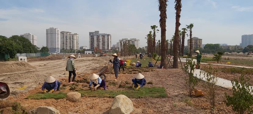 Tiến độ dự án Louis City Hoàng Mai