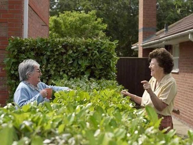 Hàng xóm của bạn rất thân thiện